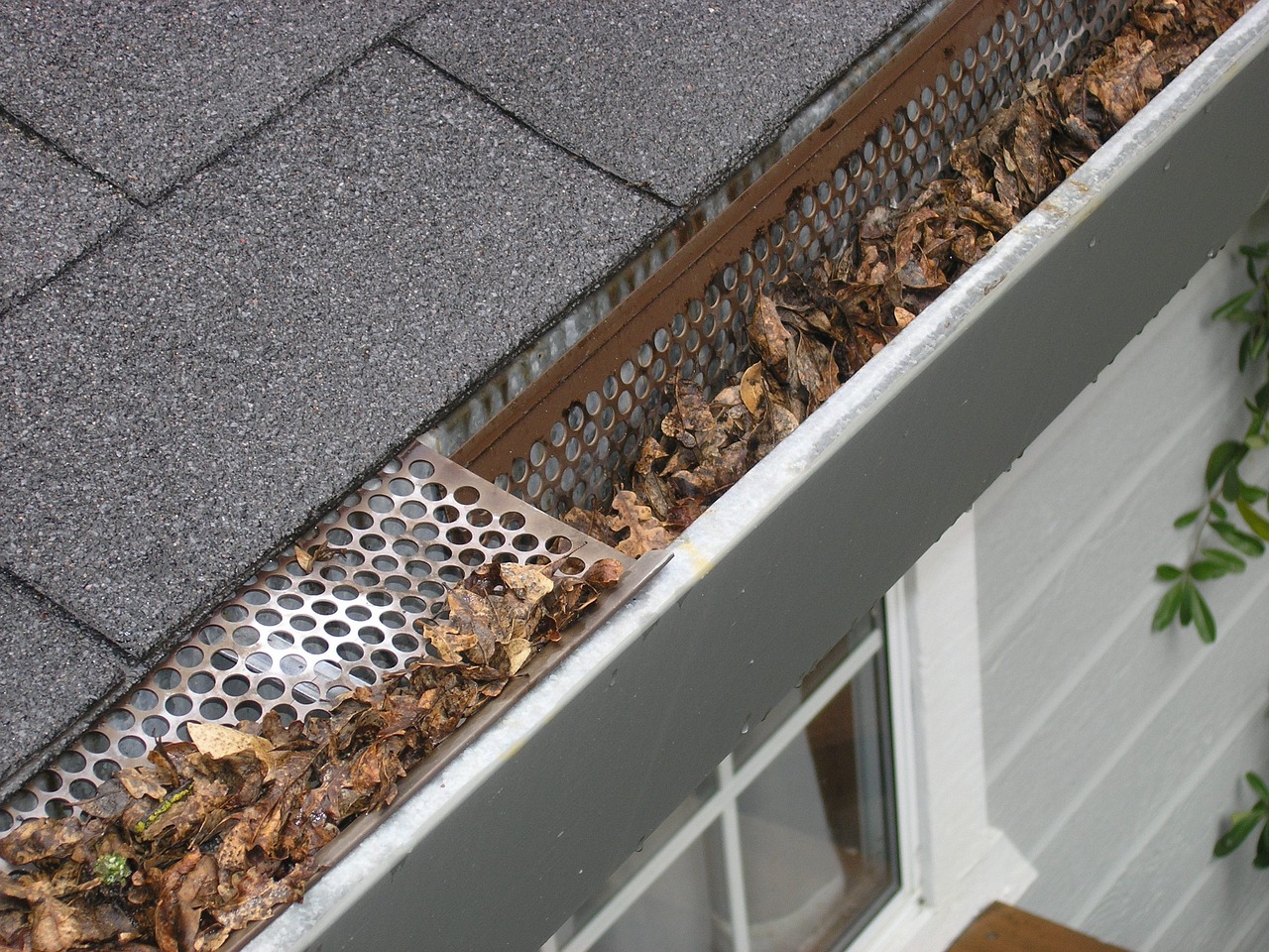 How to Clean Your Gutters: A Step-by-Step Guide