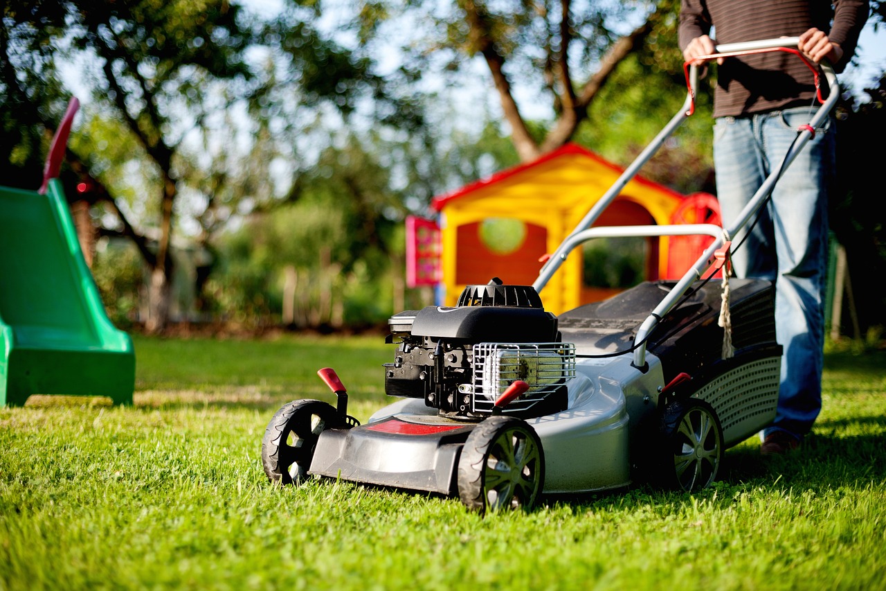 How to Maintain Your Lawn and Garden: Seasonal Tips for Homeowners