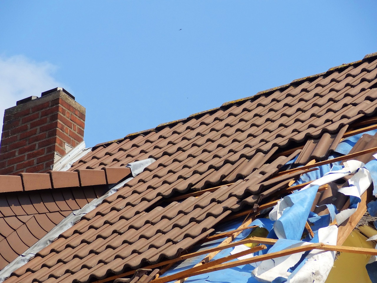 How to Inspect Your Roof for Damage: A Beginner’s Guide